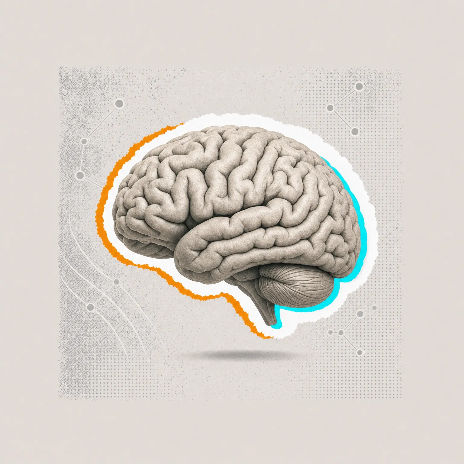 An anatomical brain cut out of paper with torn orange and teal edges on a grey halftone background.